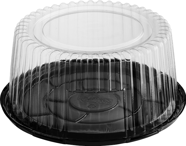 Cake Dome Plastic Container, Large